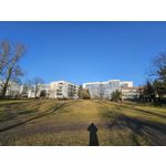 Zdjęcia użytkowników Samsung Galaxy S23 Zdjęcia użytkowników Samsung Galaxy S23