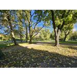 Zdjęcia użytkowników Samsung Galaxy S23 Zdjęcia użytkowników Samsung Galaxy S23