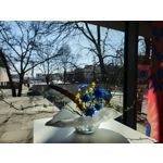 Zdjęcia użytkowników Samsung Galaxy S23 Zdjęcia użytkowników Samsung Galaxy S23