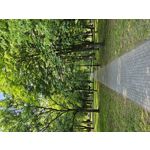 Zdjęcia użytkowników Samsung Galaxy S23 Zdjęcia użytkowników Samsung Galaxy S23