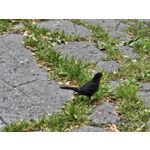 Zdjęcia użytkowników Samsung Galaxy S23 Zdjęcia użytkowników Samsung Galaxy S23