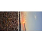 ZDJĘCIA Z TEGO TELEFONU