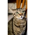 ZDJĘCIA Z TEGO TELEFONU