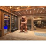 Zdjęcia użytkowników Samsung Galaxy S24 Ultra