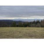 Zdjęcia użytkowników Samsung Galaxy S24 Ultra