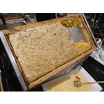 Zdjęcia użytkowników Samsung Galaxy S24 Ultra