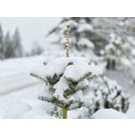 Zdjęcia użytkowników Samsung Galaxy S24 Ultra