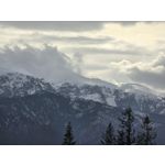 Zdjęcia użytkowników Samsung Galaxy S24 Ultra