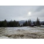 Zdjęcia użytkowników Samsung Galaxy S24 Ultra