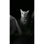 ZDJĘCIA Z TEGO TELEFONU