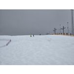 Zdjęcia użytkowników Samsung Galaxy S24 Ultra