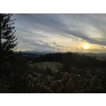 Zdjęcia użytkowników Samsung Galaxy S24 Ultra