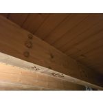 Zdjęcia użytkowników Samsung Galaxy S24 Ultra