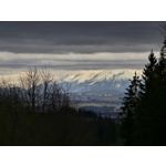 Zdjęcia użytkowników Samsung Galaxy S24 Ultra