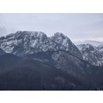 Zdjęcia użytkowników Samsung Galaxy S24 Ultra