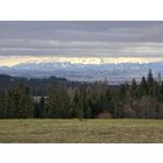 Zdjęcia użytkowników Samsung Galaxy S24 Ultra