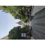 Zdjęcia użytkowników Samsung Galaxy S24