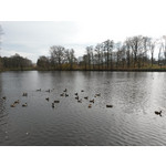 Zdjęcia użytkowników Samsung Galaxy S4 Active