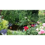 Zdjęcia użytkowników Samsung Galaxy S4 LTE+ Zdjęcia użytkowników Samsung Galaxy S4 LTE+