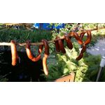 ZDJĘCIA Z TEGO TELEFONU