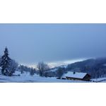 ZDJĘCIA Z TEGO TELEFONU