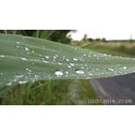Zdjęcia użytkowników Samsung Galaxy S4 Zoom