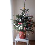 Zdjęcia użytkowników Samsung Galaxy S5 mini