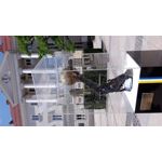 Zdjęcia użytkowników Samsung Galaxy S5 mini