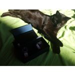 Zdjęcia użytkowników Samsung Galaxy S7