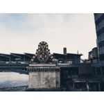Zdjęcia użytkowników Samsung Galaxy S8+