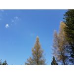 Zdjęcia użytkowników Samsung Galaxy S8+