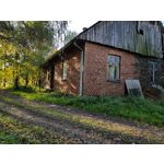 Zdjęcia użytkowników Samsung Galaxy S8+