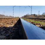 Zdjęcia użytkowników Samsung Galaxy S8+