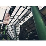 Zdjęcia użytkowników Samsung Galaxy S8+