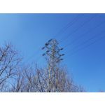 Zdjęcia użytkowników Samsung Galaxy S8+