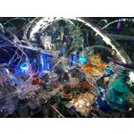 Zdjęcia użytkowników Samsung Galaxy S8+