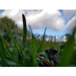 Zdjęcia użytkowników Samsung Galaxy S8+