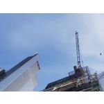 Zdjęcia użytkowników Samsung Galaxy S8+