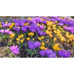 ZDJĘCIA Z TEGO TELEFONU