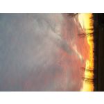 Zdjęcia użytkowników Samsung Galaxy S9 Dual SIM