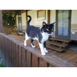 Zdjęcia użytkowników Samsung Galaxy S9 Dual SIM