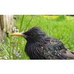 ZDJĘCIA Z TEGO TELEFONU