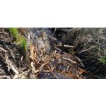 Zdjęcia użytkowników Samsung Galaxy S9+