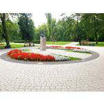 Zdjęcia użytkowników Samsung Galaxy S9+