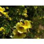 Zdjęcia użytkowników Samsung Galaxy S9+