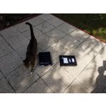 Zdjęcia użytkowników Samsung Galaxy Tab S3 WiFi