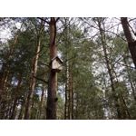 Zdjęcia użytkowników Samsung Galaxy Tab S3 LTE