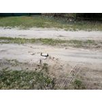 Zdjęcia użytkowników Samsung Galaxy Tab S3 LTE