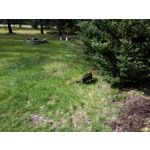 Zdjęcia użytkowników Samsung Galaxy Tab S3 LTE