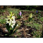 Zdjęcia użytkowników Samsung Galaxy Tab S3 LTE